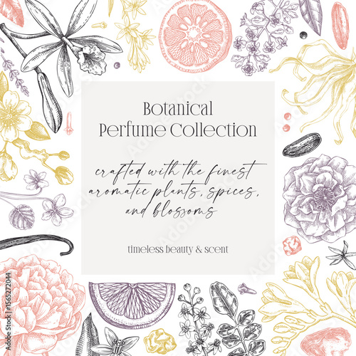 Perfumery ingredients frame design. Aromatic plants and flowers hand drawn vector illustration. Minimalist gift card, floral invitation template. NOT AI generated