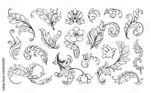 Flower ornaments. Floral frame, filigree pattern isolated elements, border with flourish acanthus. Decorative Victorian engraved motif. Card and posters decorative vector arabesque corners