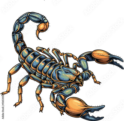 Scorpion Insect Animal Dangerous Predator
