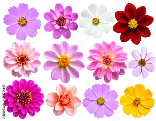 house with a roof HD transparent background PNG Stock Photographic Image .jpg - Firefly_Transparent PNG available_Single flowers collection, set isolated on transparent whit 