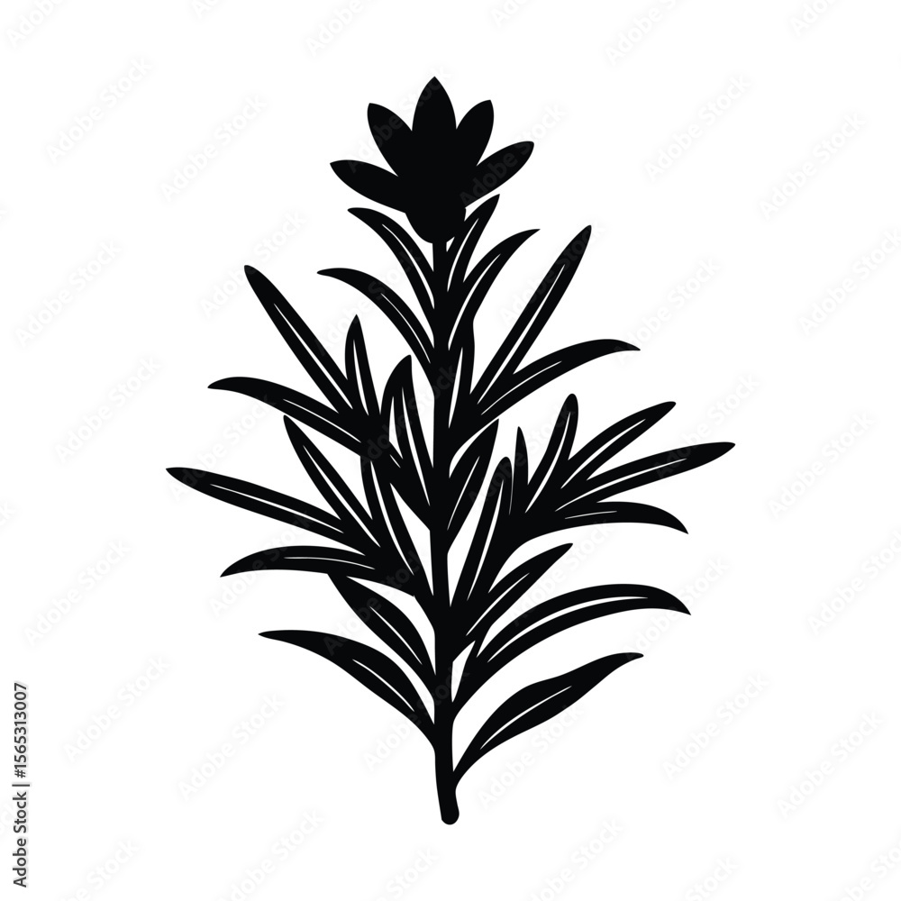 Fototapeta premium rosemary flower vector silhouette illustration