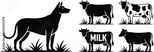 Silhouette Illustration of Dog Breed with Black Cows Grazing in Grass, One Labeled Milk
