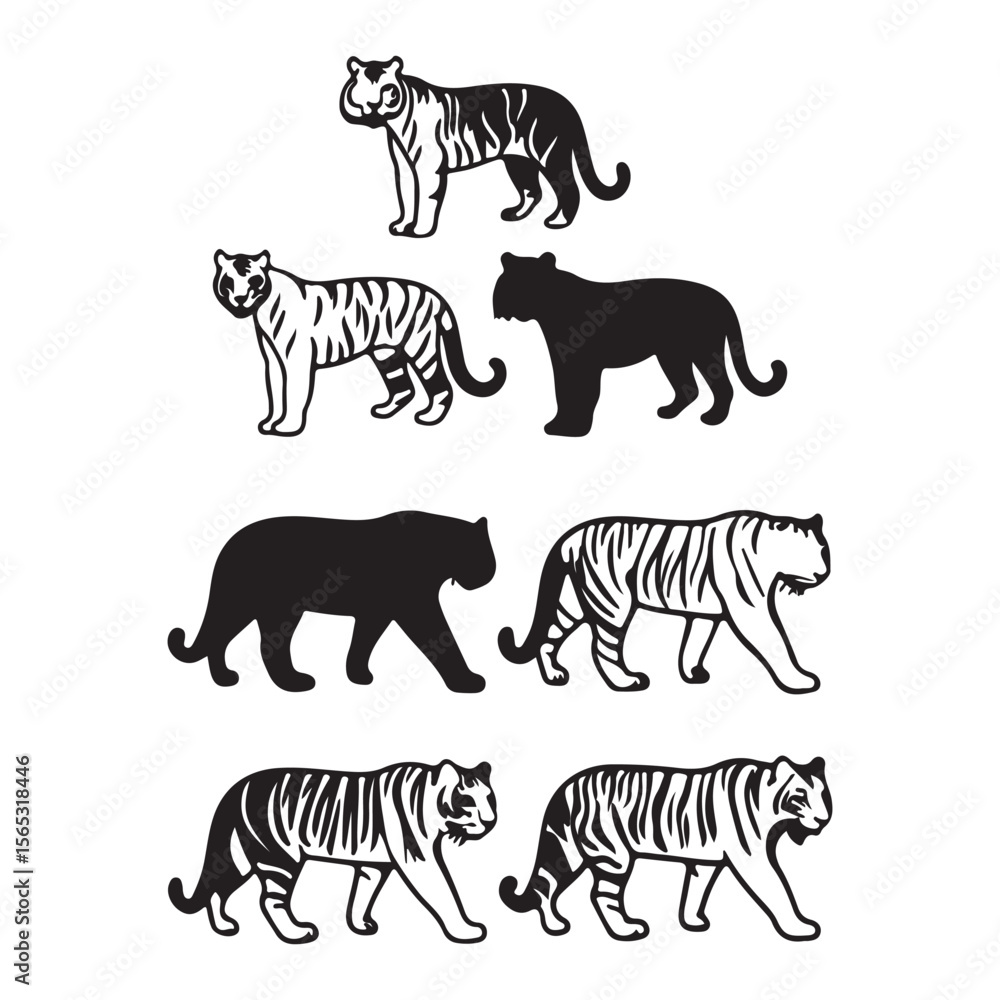 Obraz premium Tiger vector illustration