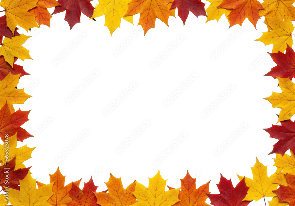 Vibrant autumn maple leaves in fiery orange, deep red, bright yellow, perfectly formed with clear venation, arranged decoratively on a transparent background with copy space, top-down view, studio Vibrant autumn maple leaves in fiery orange, deep red, bright yellow, perfectly formed with clear venation, arranged decoratively on a transparent background with copy space, top-down view, studio