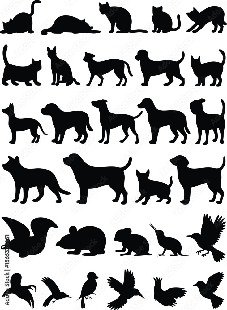 Fototapeta premium Black Silhouettes of Cats, Dogs, Squirrels, Mice, and Birds Posed on a White Background