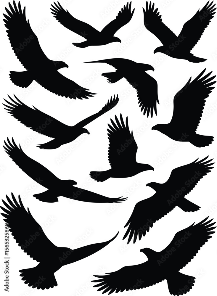Obraz premium Silhouette Collection Majestic Eagles Soaring in Flight, Displaying Power and Freedom on White Background