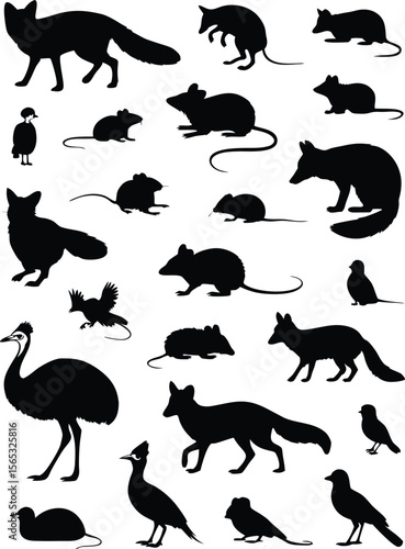 Silhouettes of Foxes, Mice, and Birds in a Seamless Pattern Design