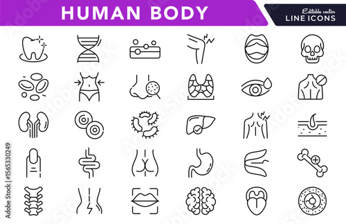 Human Body linear icon set. Organs, body parts, skeleton parts, pictograms, joint, knee, x-ray, arthritis, autoimmune, gout, inflammation line icon set. Ui thin line icon pack.