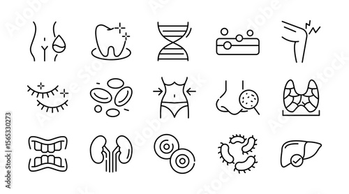 Human Body linear icon set. Organs, body parts, skeleton parts, pictograms, joint, knee, x-ray, arthritis, autoimmune, gout, inflammation line icon set. Ui thin line icon pack.