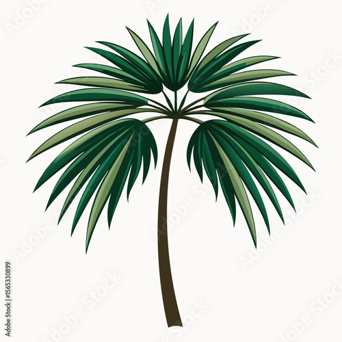 PLAM TREE VACTOR ART