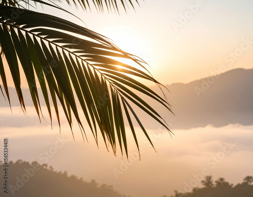 Palm Leaf Silhouette Sunrise Over Misty Mountains