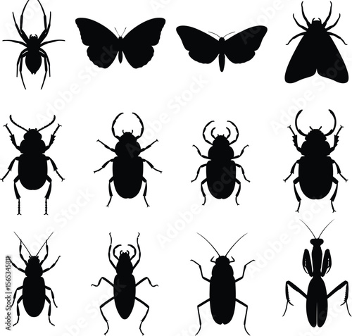 collection of Black Insect Silhouettes vector Black
