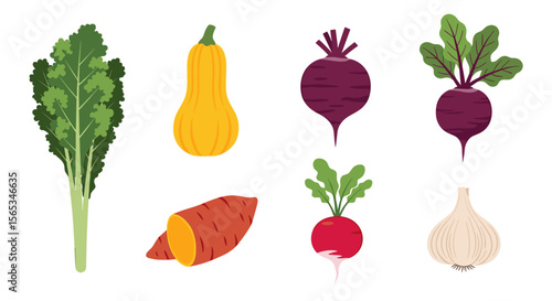 Illustration showing a variety of vegetables including greens squash beets sweet potato radish and garlic