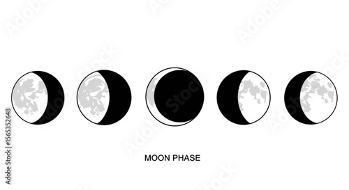 Illustration showing the different phases of the moon in a row from left to right on a white background