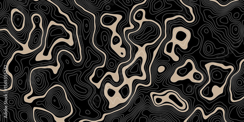  abstract topographic map on a black background with beige areas defined by white contour lines showing elevation and terrain detail