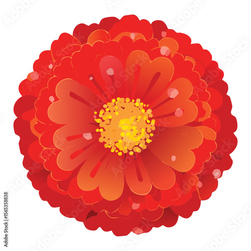 Earthy Red Orange Flower Head Illustration