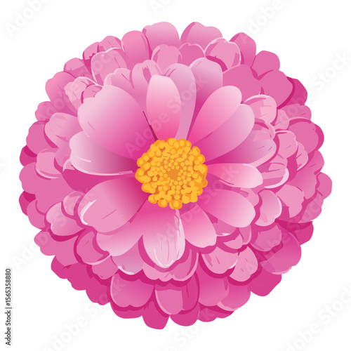 Vibrant Pink Flower Head Isolated Illustration