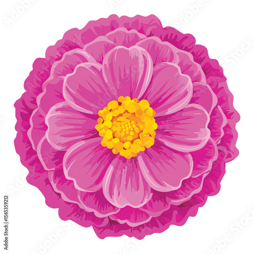 Vibrant Pink Flower Head Isolated Art