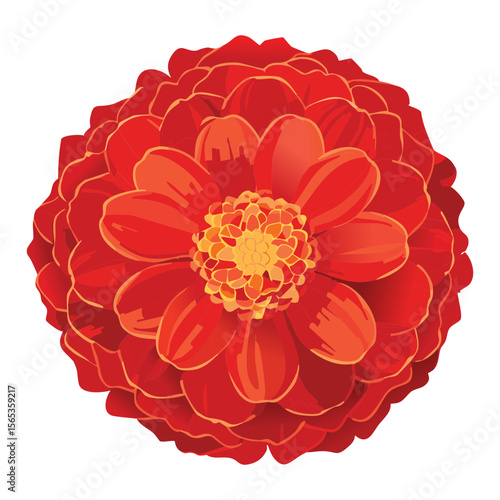 Earthy Red Orange Flower Head Design