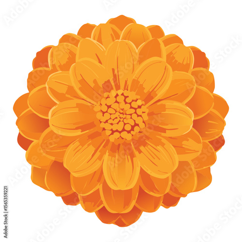 Golden Orange Flower Head Illustration Detail