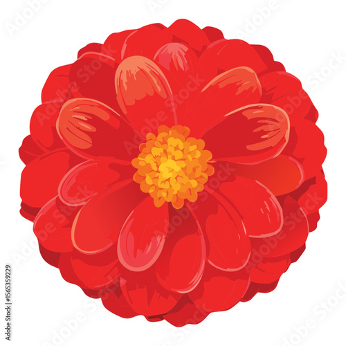 Bright Red Flower Head Isolated Element