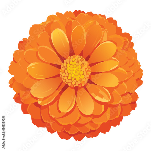 Warm Orange Flower Head Isolated Element