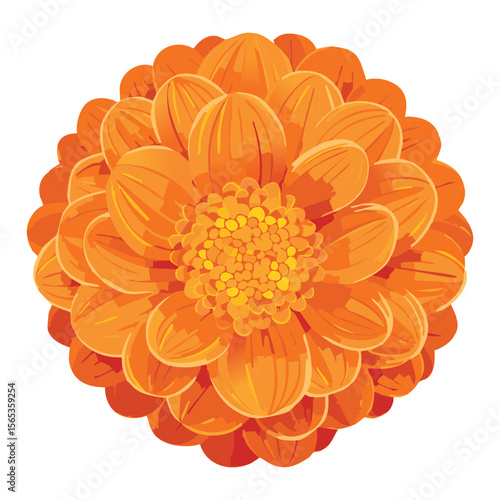 Vibrant Orange Single Flower Head Illustration