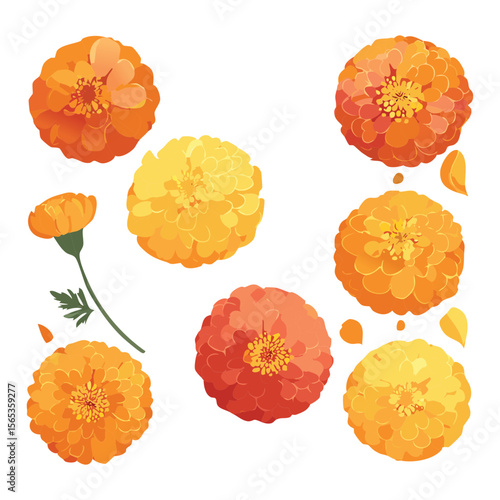 Golden Orange Flower Heads Collection Artwork