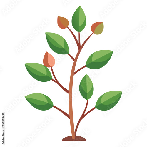 A green plant with a green leaf on it
