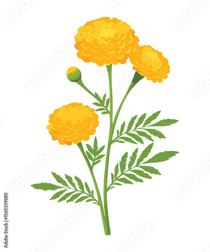 Long Stem Yellow Marigold Flower with Leaves