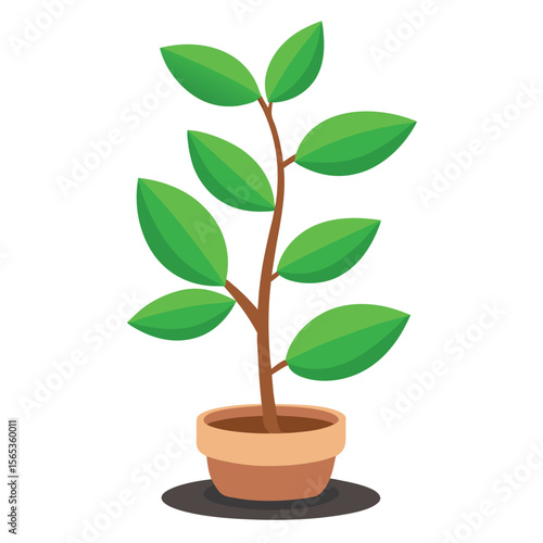 A green plant with a green leaf on it