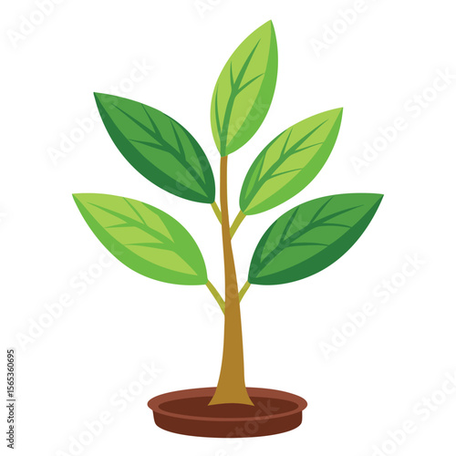 A green plant with a green leaf on it