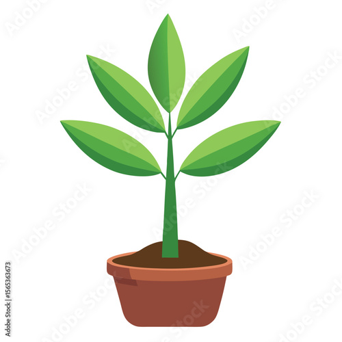 A green plant with a green leaf on it