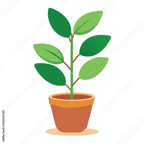 A green plant with a green leaf on it
