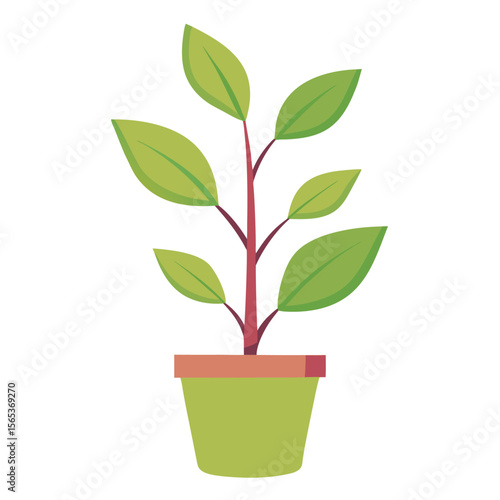 A green plant with a green leaf on it