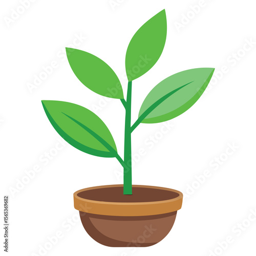 A green plant with a green leaf on it