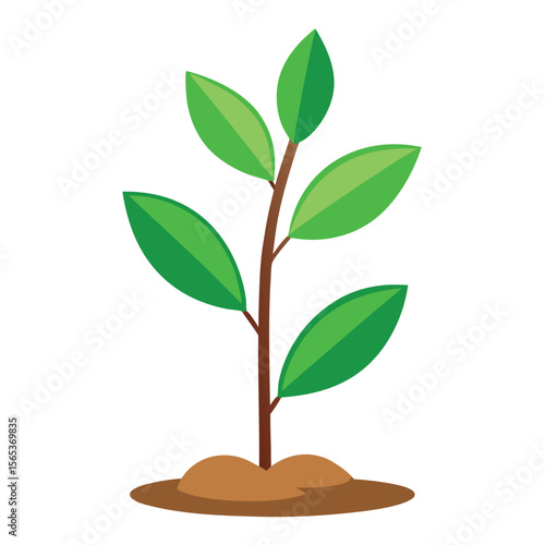 A green plant with a green leaf on it