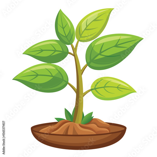 A green plant with a green leaf on it