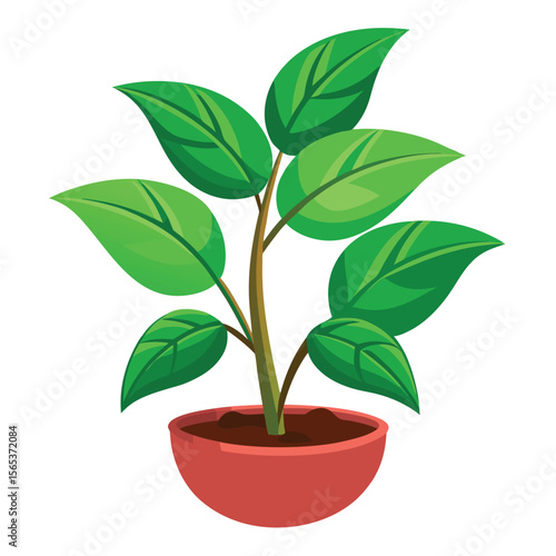 A green plant with a green leaf on it