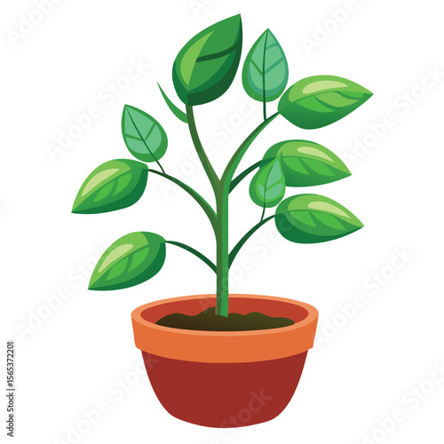 A green plant with a green leaf on it