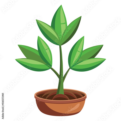 A green plant with a green leaf on it