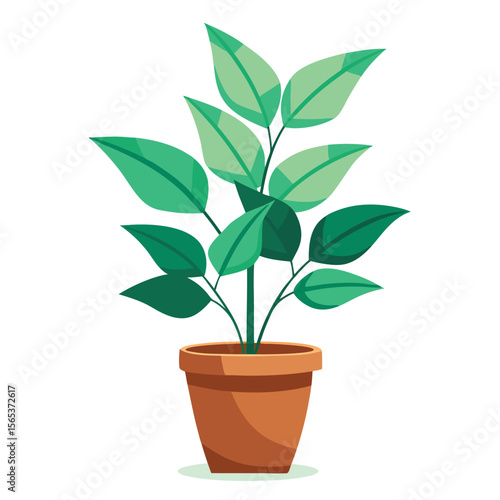 A green plant with a green leaf on it