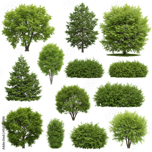 Diverse green trees, bushes, and shrubs of various species and sizes, from lime to forest green, isolated as full objects with crisp contours against a transparent background with no shadows. Concept