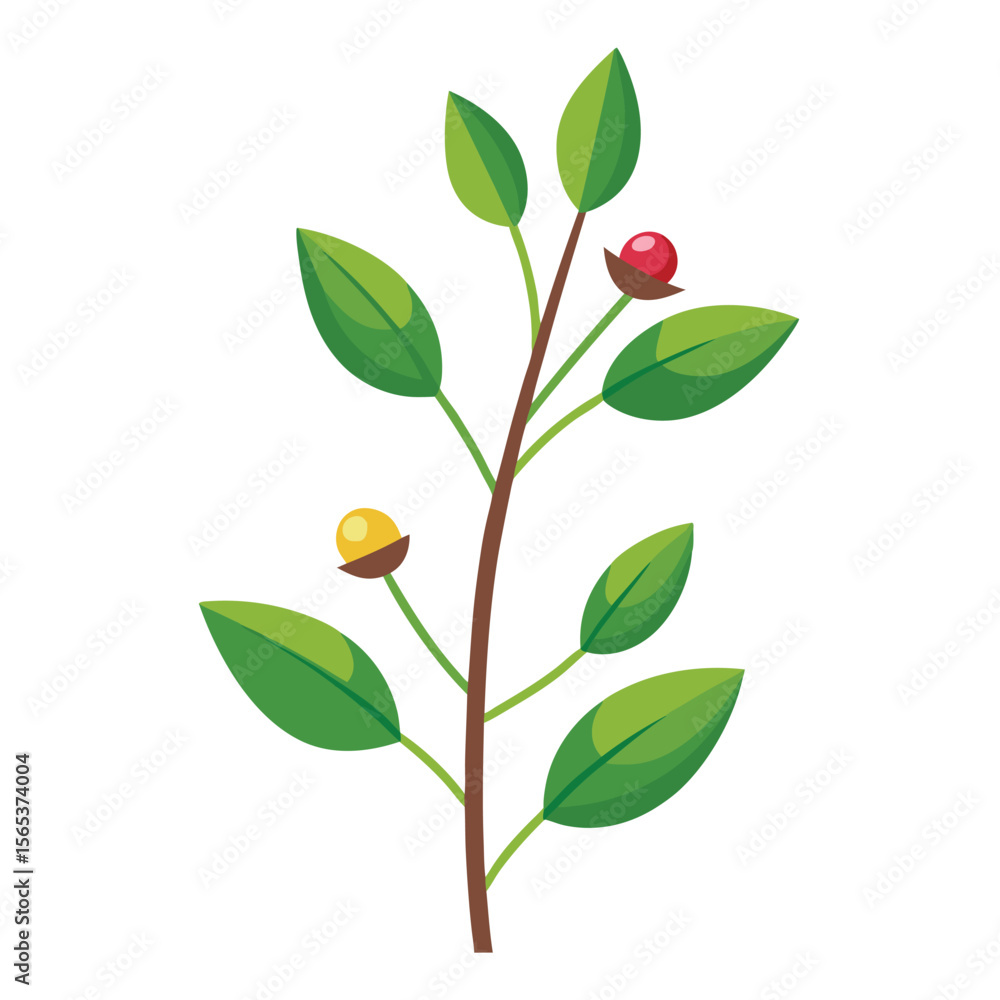 Fototapeta premium Flowers leaves flat design on white background isolated