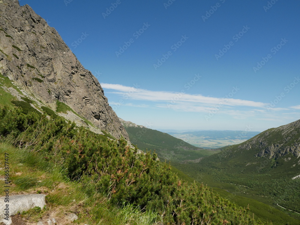Fototapeta premium Mountain Valley View with Rocky Slope and Pine Shrubs under Clear Blue Sky