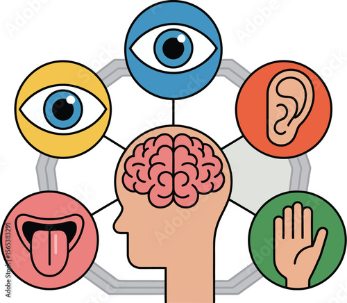 Illustration depicting the five senses connected to a brain within a human head profile view