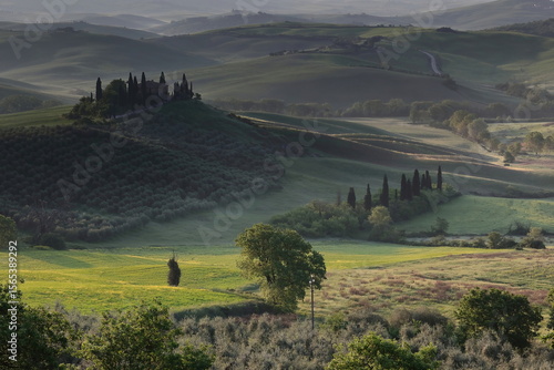 Hazy sunrise on Val d'Orcia Valley, podere -farmsteads- among rolling hills, green cereal fields and orchards. San Quirico d'Orcia-Tuscany-Italy-009
