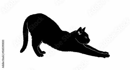 Cat Stretching Vector – Silhouette of Domestic Cat in Relaxed Pose for Pet, Animal Behavior, and Feline Art Concepts