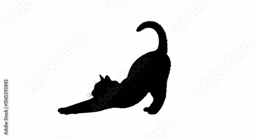 Cat Stretching Vector – Silhouette of Domestic Cat in Relaxed Pose for Pet, Animal Behavior, and Feline Art Concepts