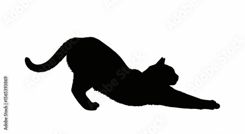 Cat Stretching Vector – Silhouette of Domestic Cat in Relaxed Pose for Pet, Animal Behavior, and Feline Art Concepts